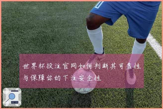 世界杯投注官网如何判断其可靠性与保障你的下注安全性