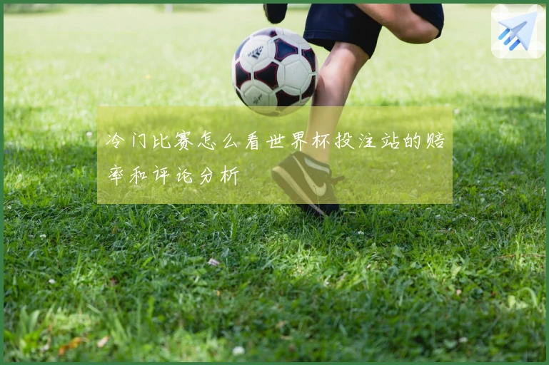 冷门比赛怎么看世界杯投注站的赔率和评论分析