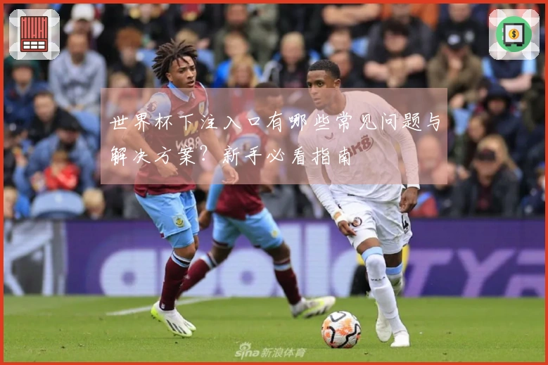 世界杯下注入口有哪些常见问题与解决方案？新手必看指南