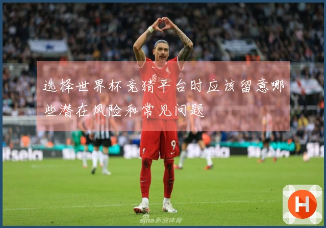选择世界杯竞猜平台时应该留意哪些潜在风险和常见问题