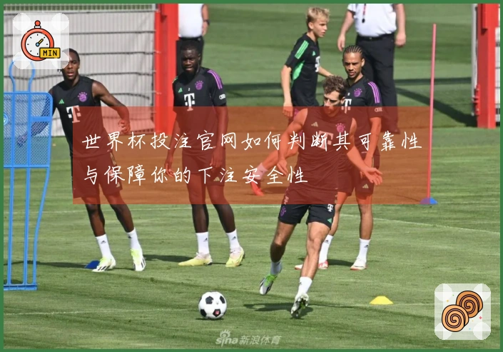 世界杯投注官网如何判断其可靠性与保障你的下注安全性