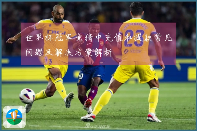 世界杯冠军竞猜中充值和提款常见问题及解决方案解析