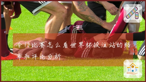 冷门比赛怎么看世界杯投注站的赔率和评论分析