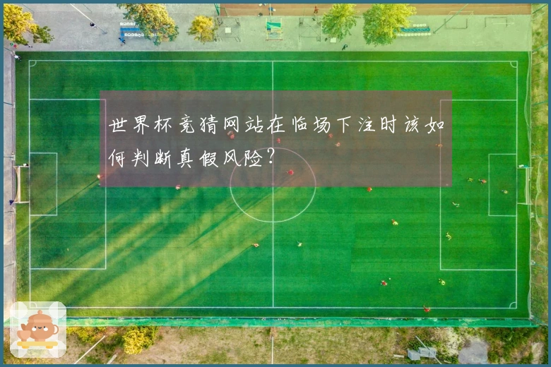 世界杯竞猜网站在临场下注时该如何判断真假风险？