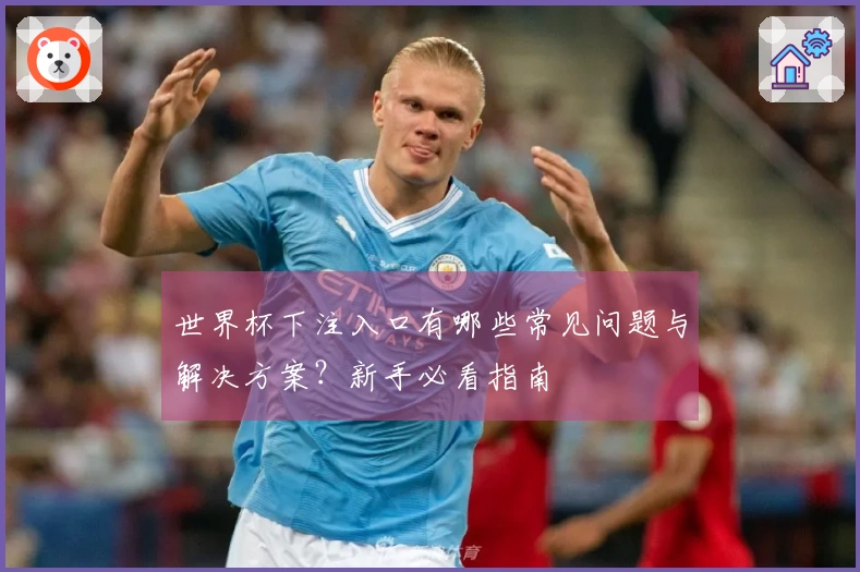 世界杯下注入口有哪些常见问题与解决方案？新手必看指南