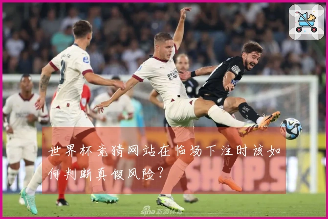 世界杯竞猜网站在临场下注时该如何判断真假风险？